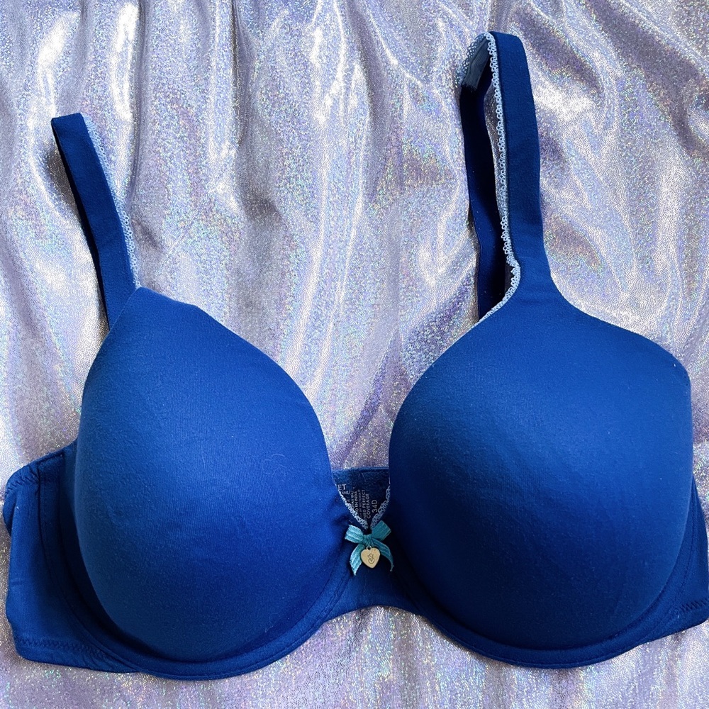 Victoria’s Secret Blue Bra